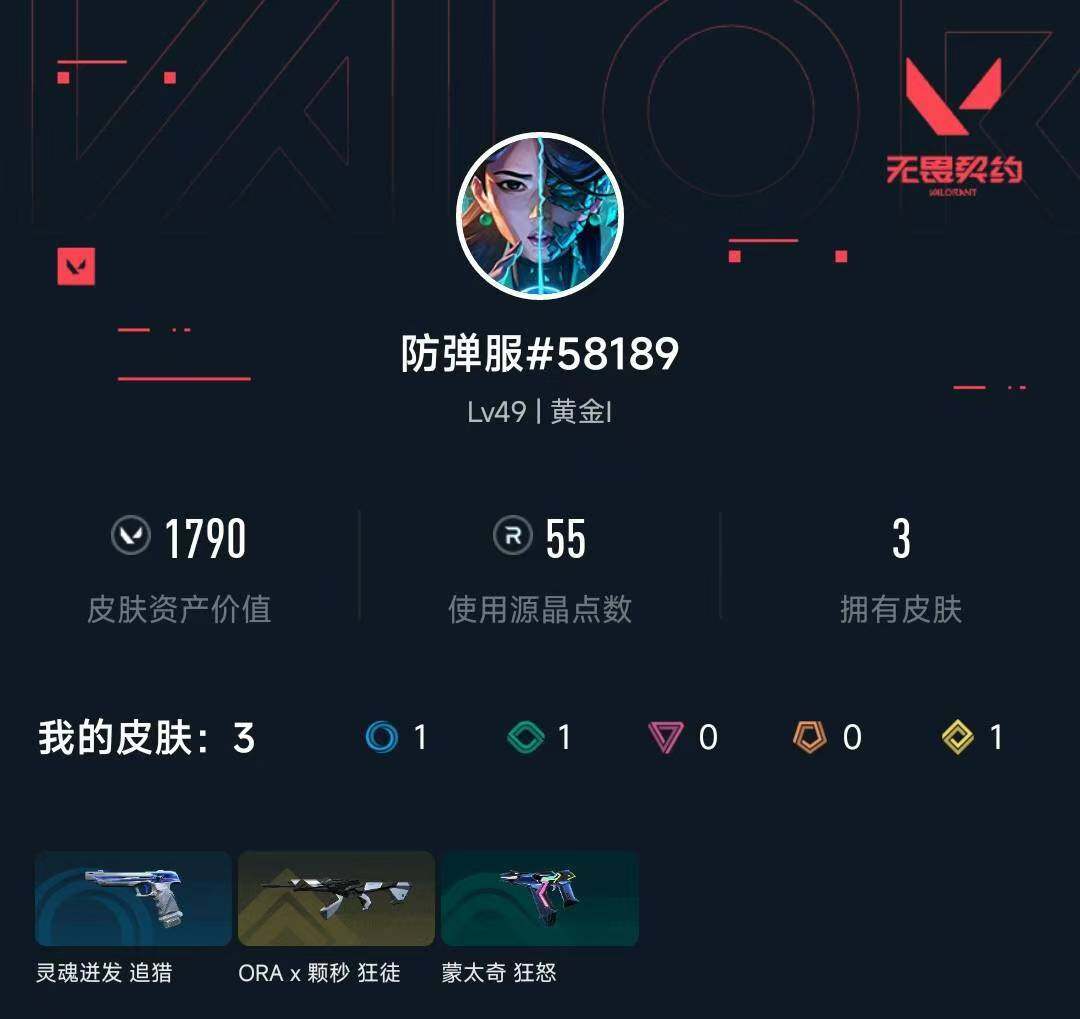 WWQXL445635无畏契约账号详情图3