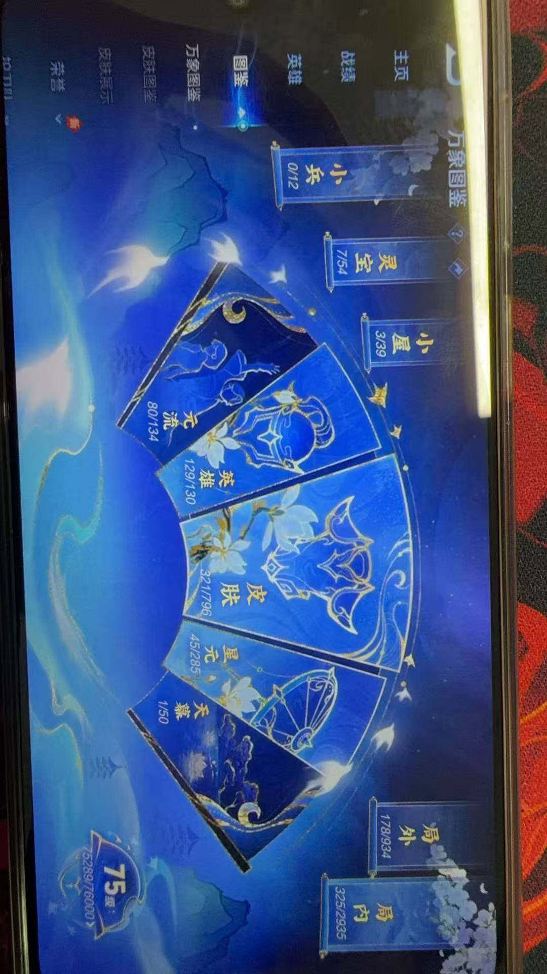 WZLX4374596王者荣耀账号详情图9