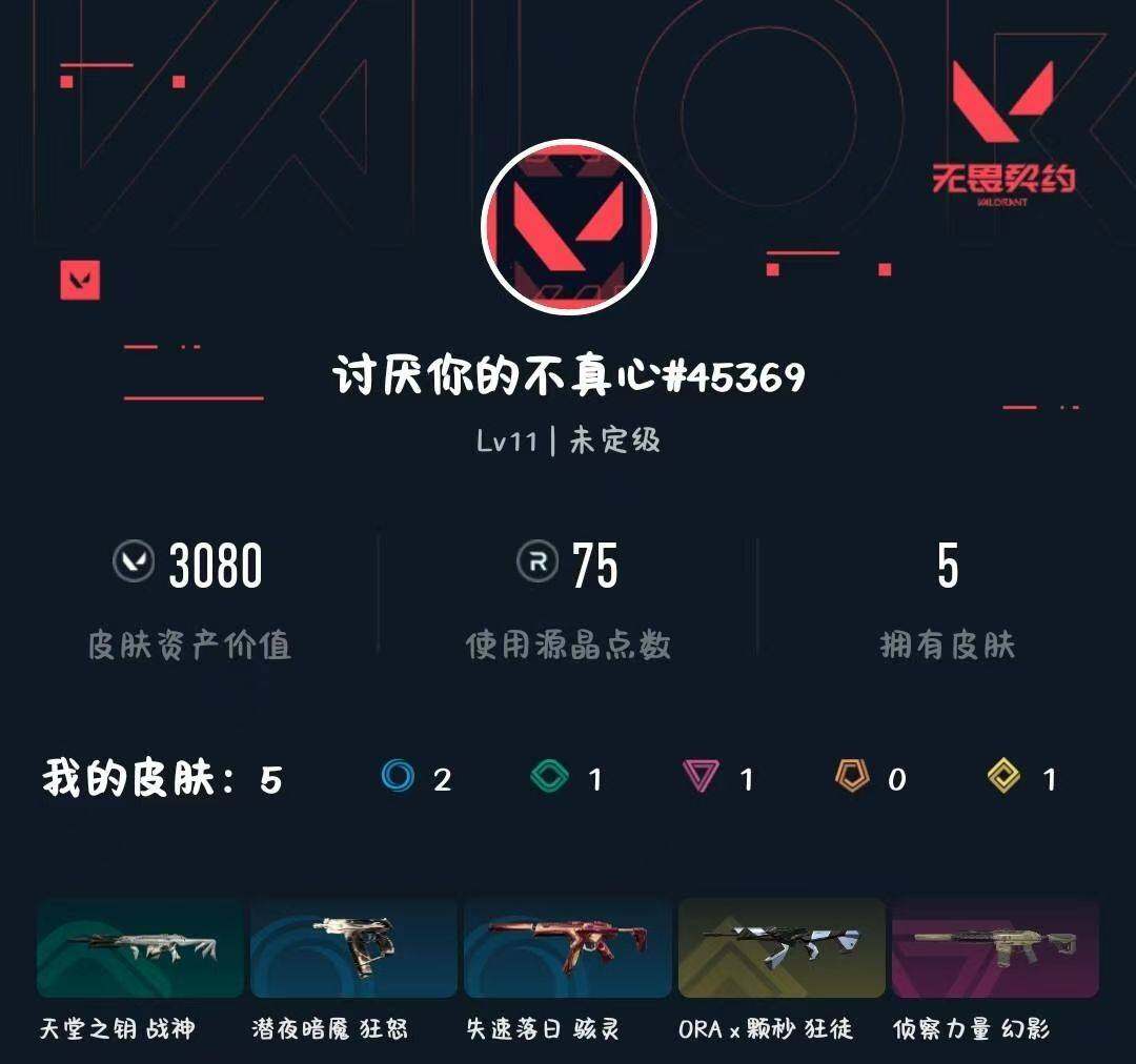 WWQXL445877无畏契约账号详情图3 WWQXL445877无畏契约账号详情图3