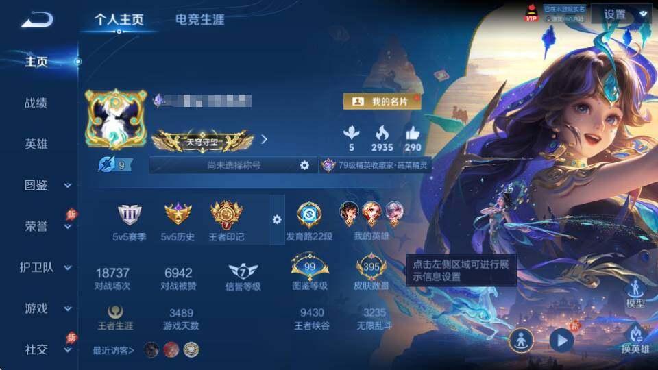 WZQM4380476王者荣耀账号详情图9