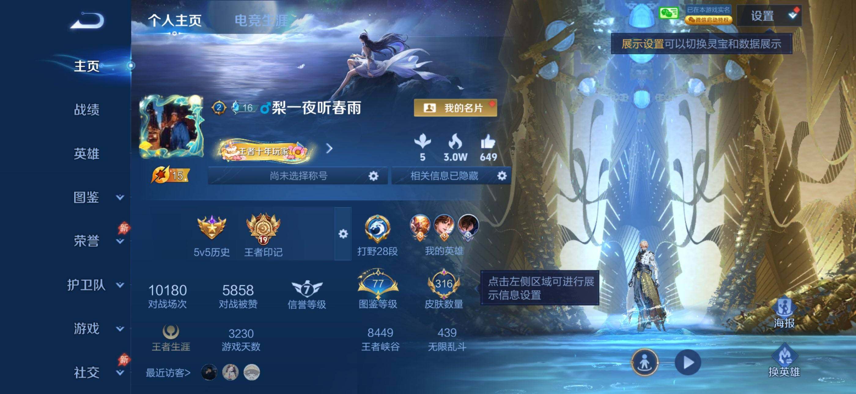 WZQM4395309王者荣耀账号详情图3 WZQM4395309王者荣耀账号详情图3