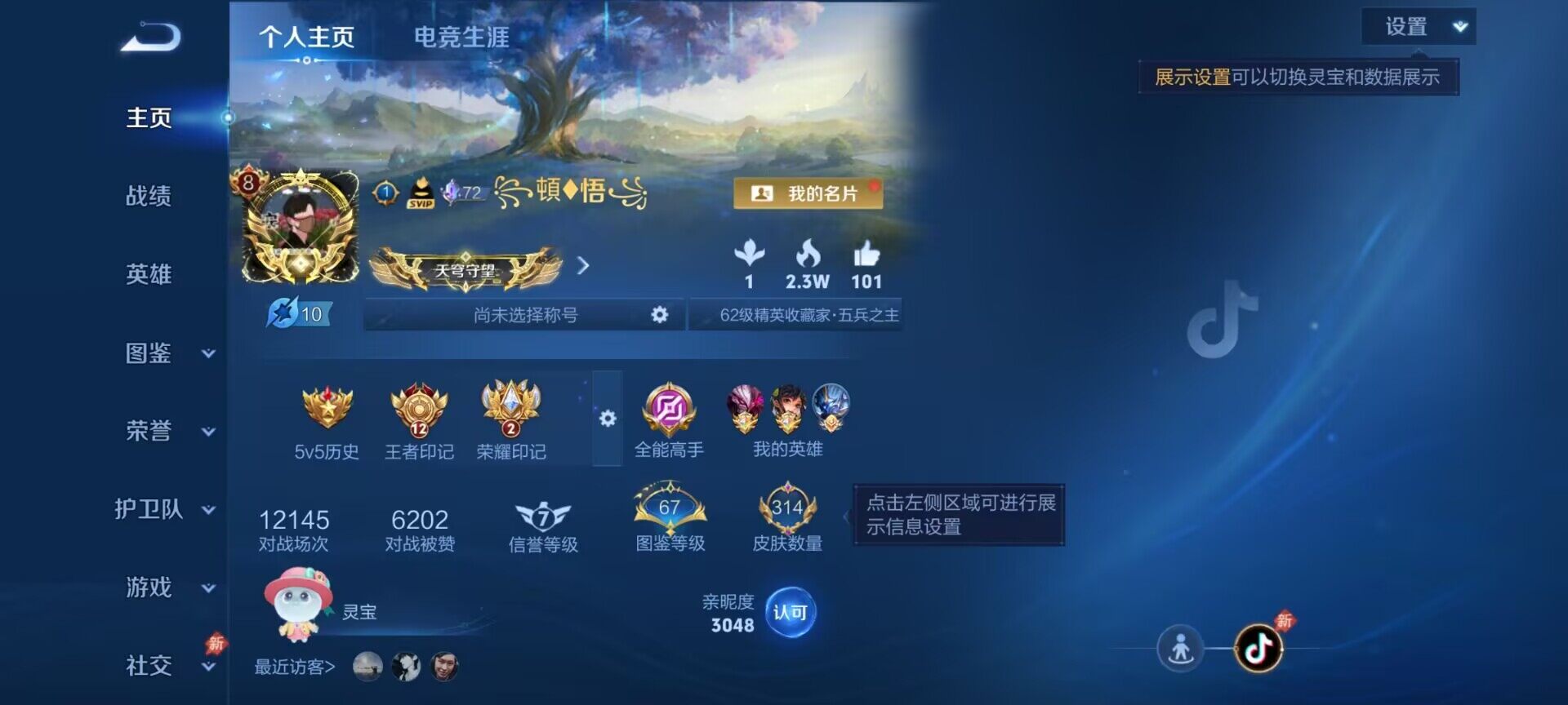 WZDN4390324王者荣耀账号详情图7 WZDN4390324王者荣耀账号详情图7
