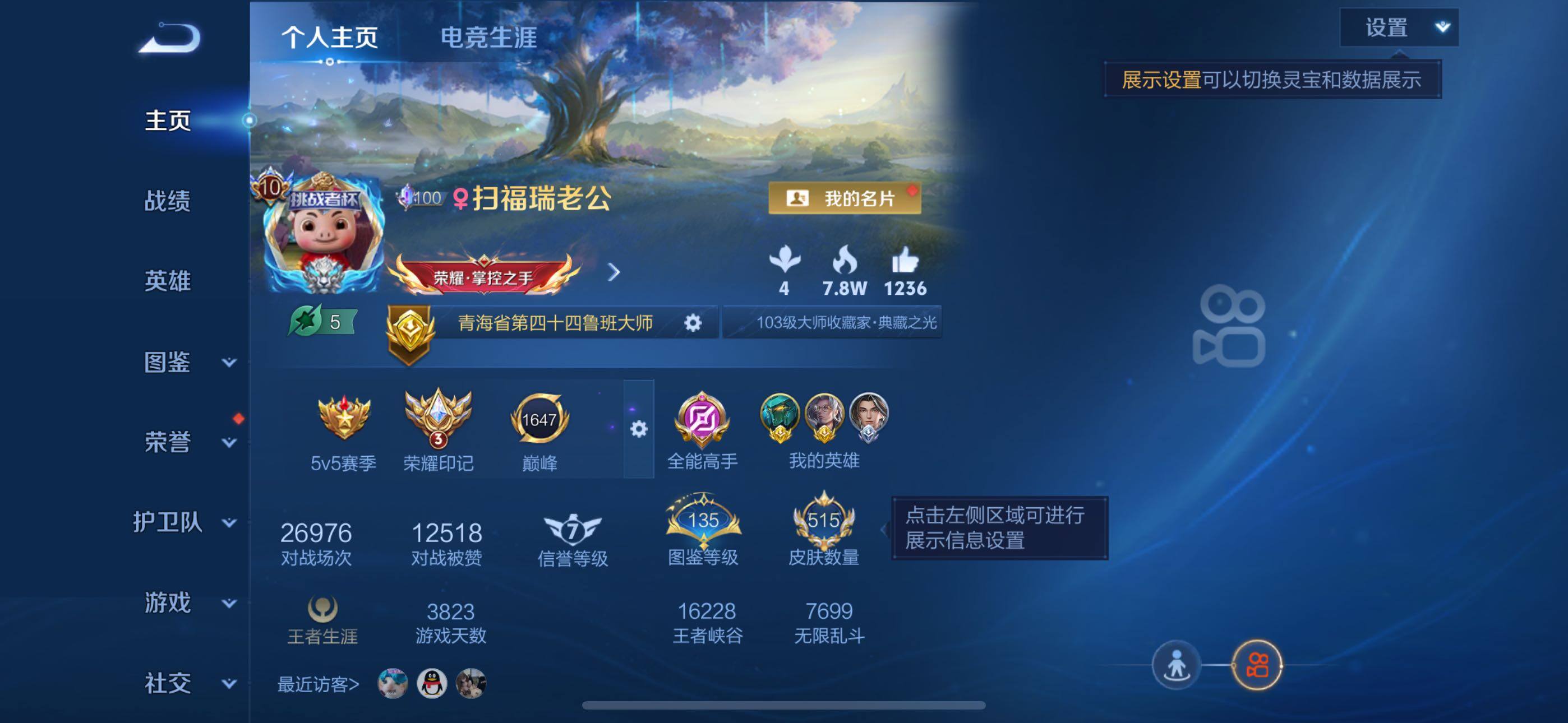 WZXS4413579王者荣耀账号详情图12 WZXS4413579王者荣耀账号详情图12