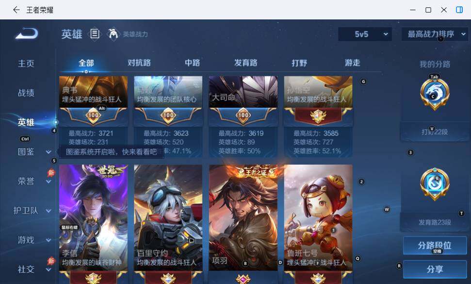 大图