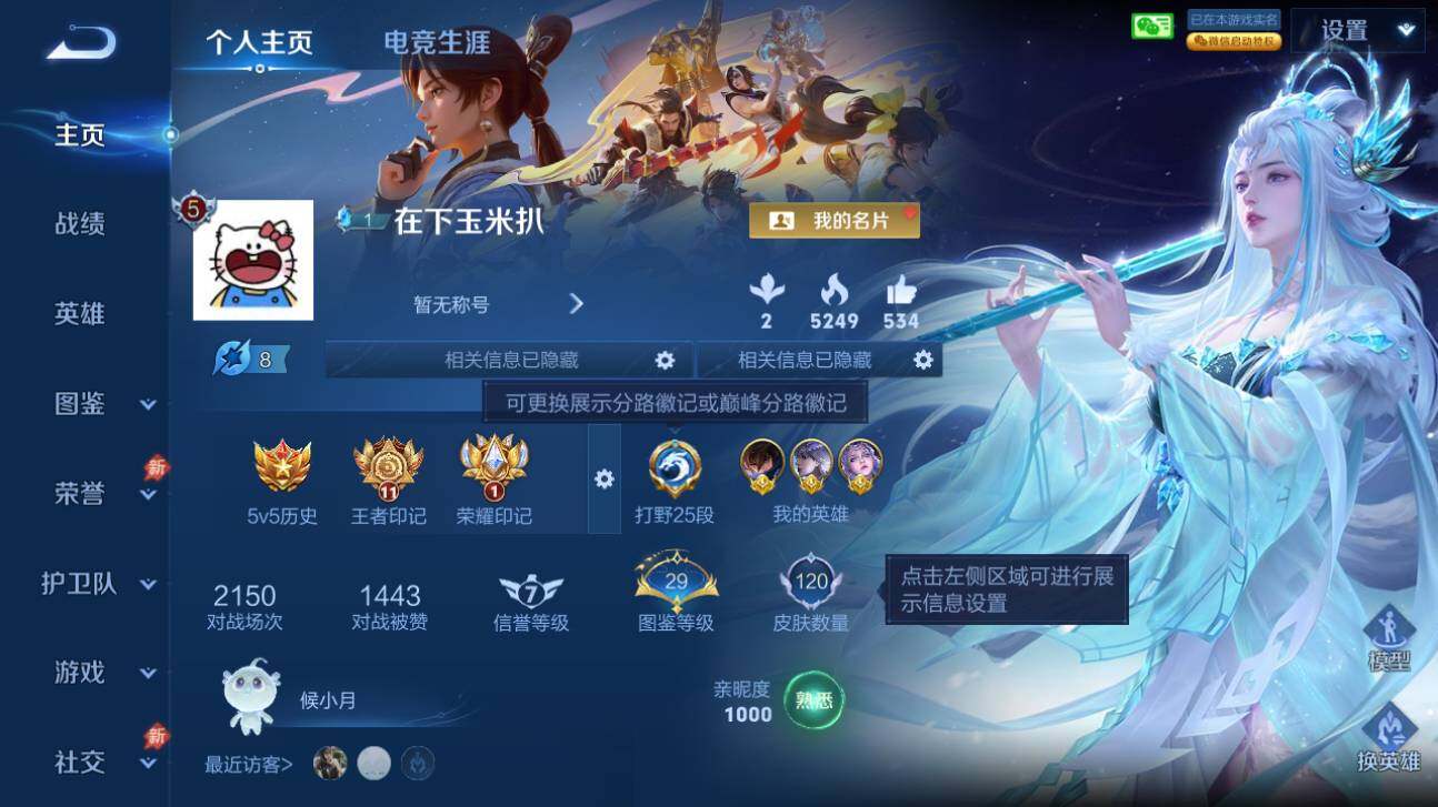 WZQM4413113王者荣耀账号详情图3 WZQM4413113王者荣耀账号详情图3