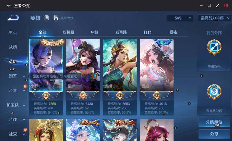 大图