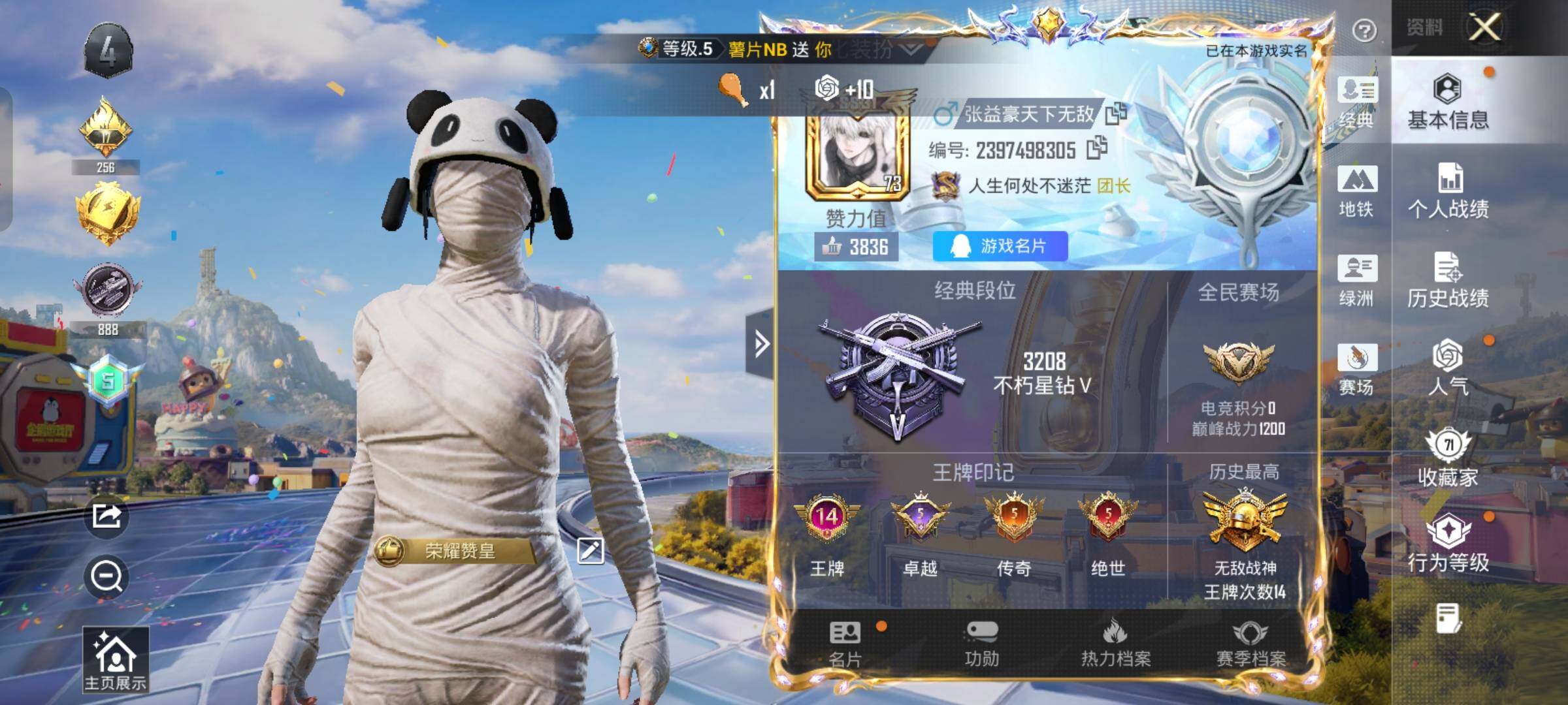 大图