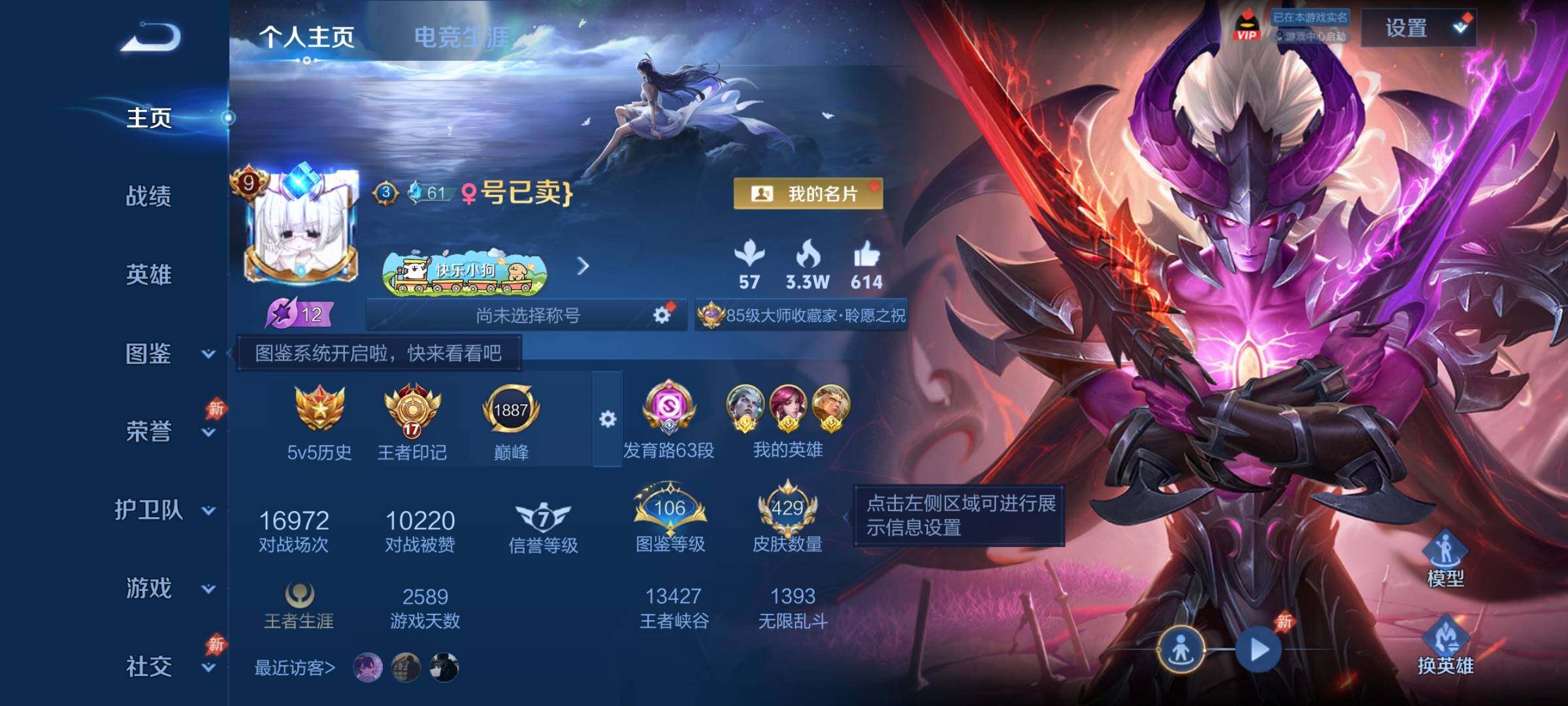 【可二次·高战主射手v9·63段发育路·司空震后羿万战金标·伽罗孙策黄忠金标·铃舟系梦天幕·离恨烟·伽罗孙尚香典藏皮·沧流箭·神骥赴朔漠·愿照山河定·乘龙问璇玑·深海之息·祈雪灵祝·】YXw3487