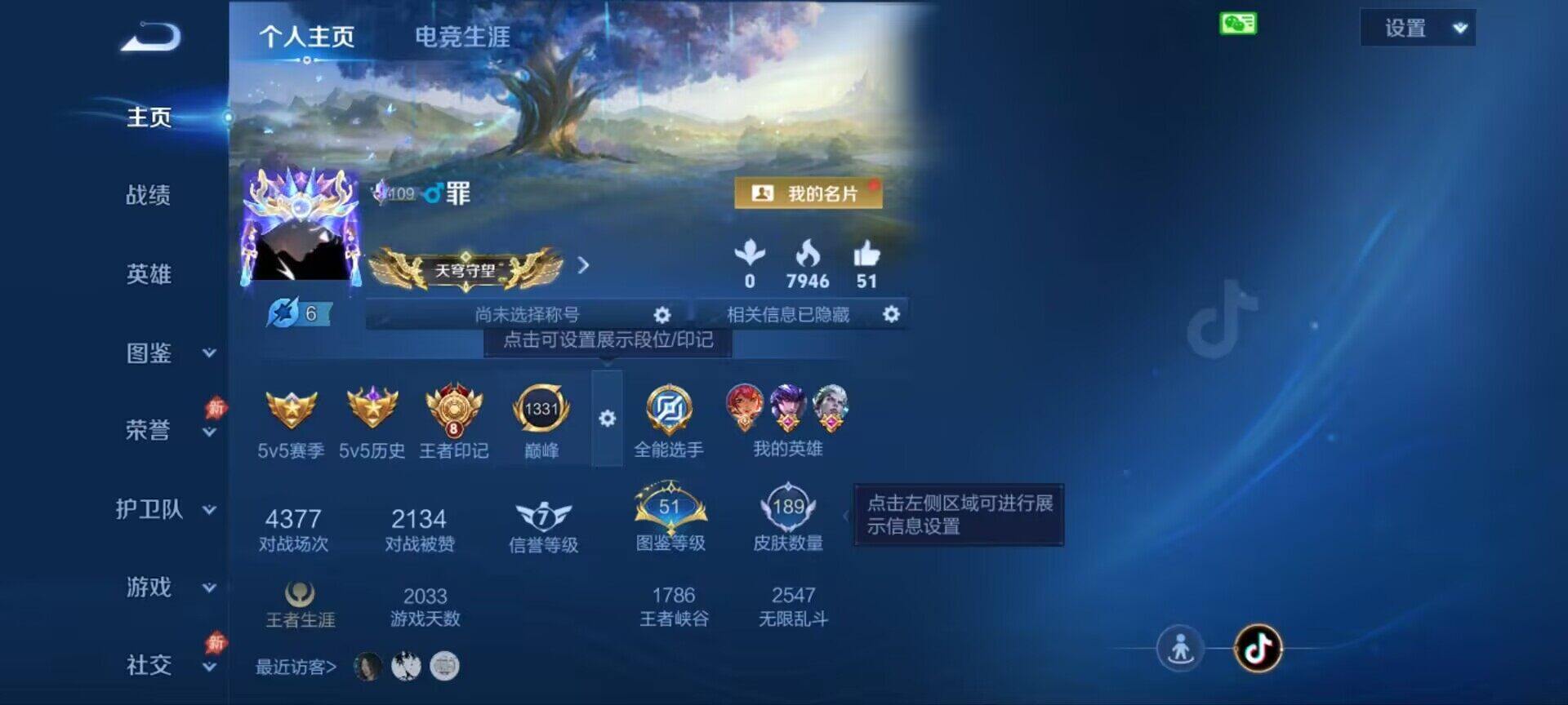 WZQM4429317王者荣耀账号详情图3 WZQM4429317王者荣耀账号详情图3