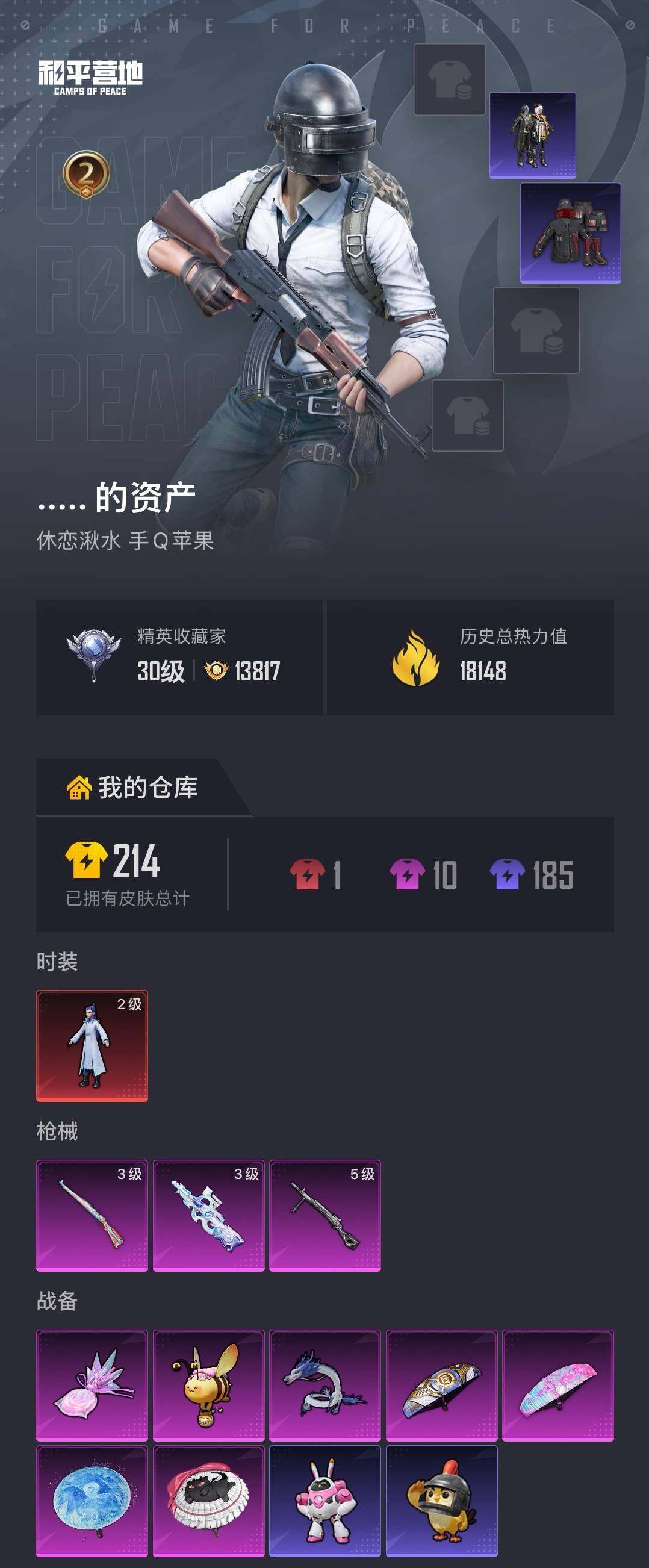 HPQM4251207和平精英账号详情图4 HPQM4251207和平精英账号详情图4