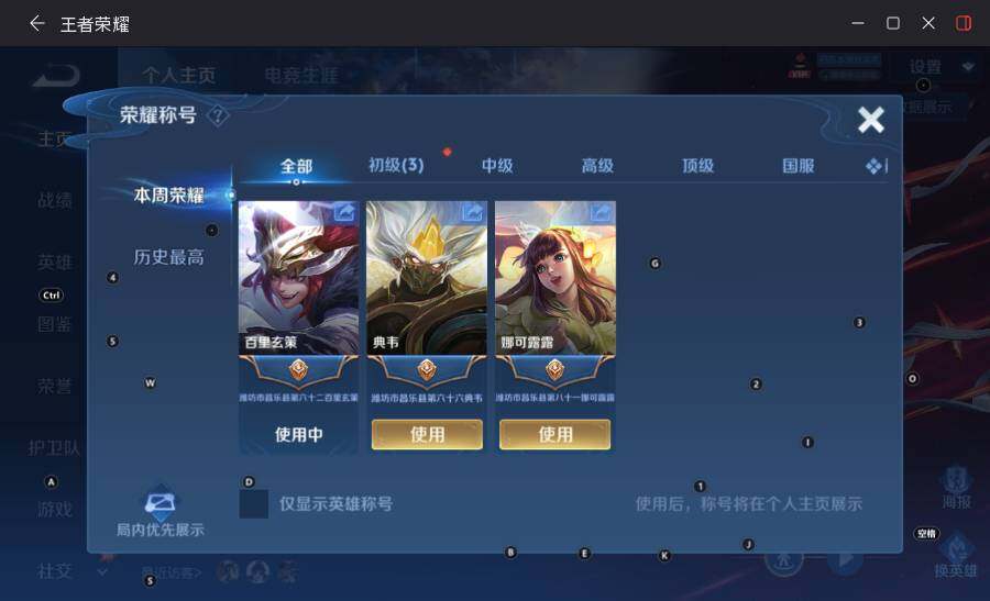 大图
