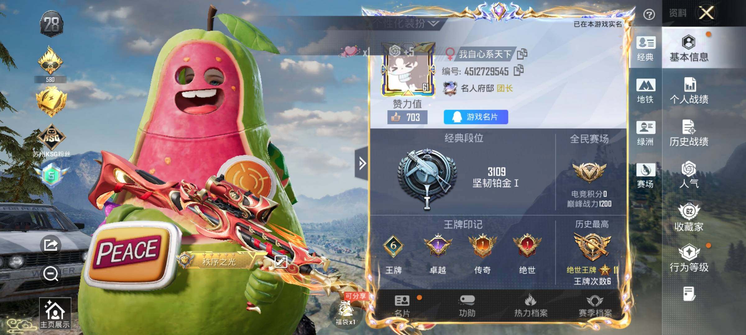 HPDN4252002和平精英账号详情图6 HPDN4252002和平精英账号详情图6