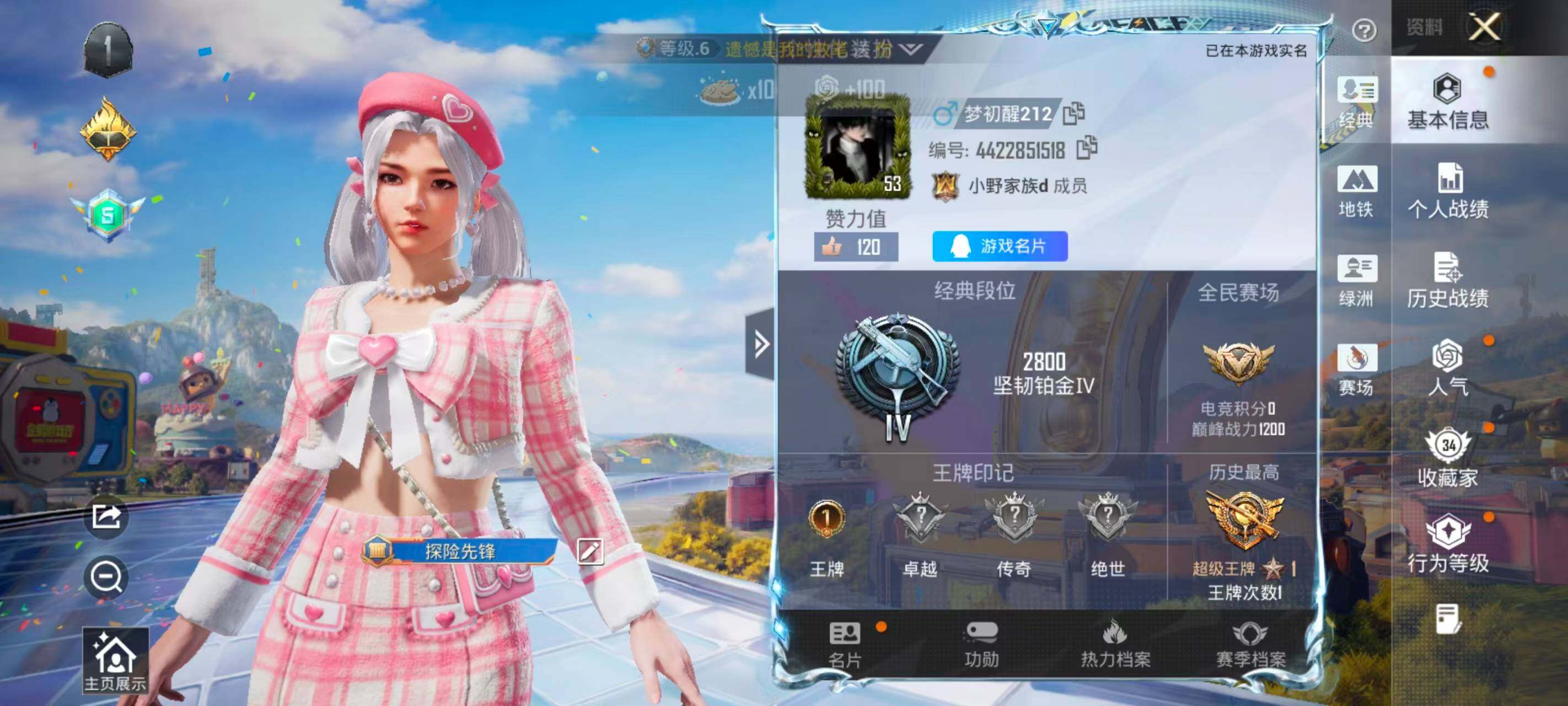 HPEY4254794和平精英账号详情图3