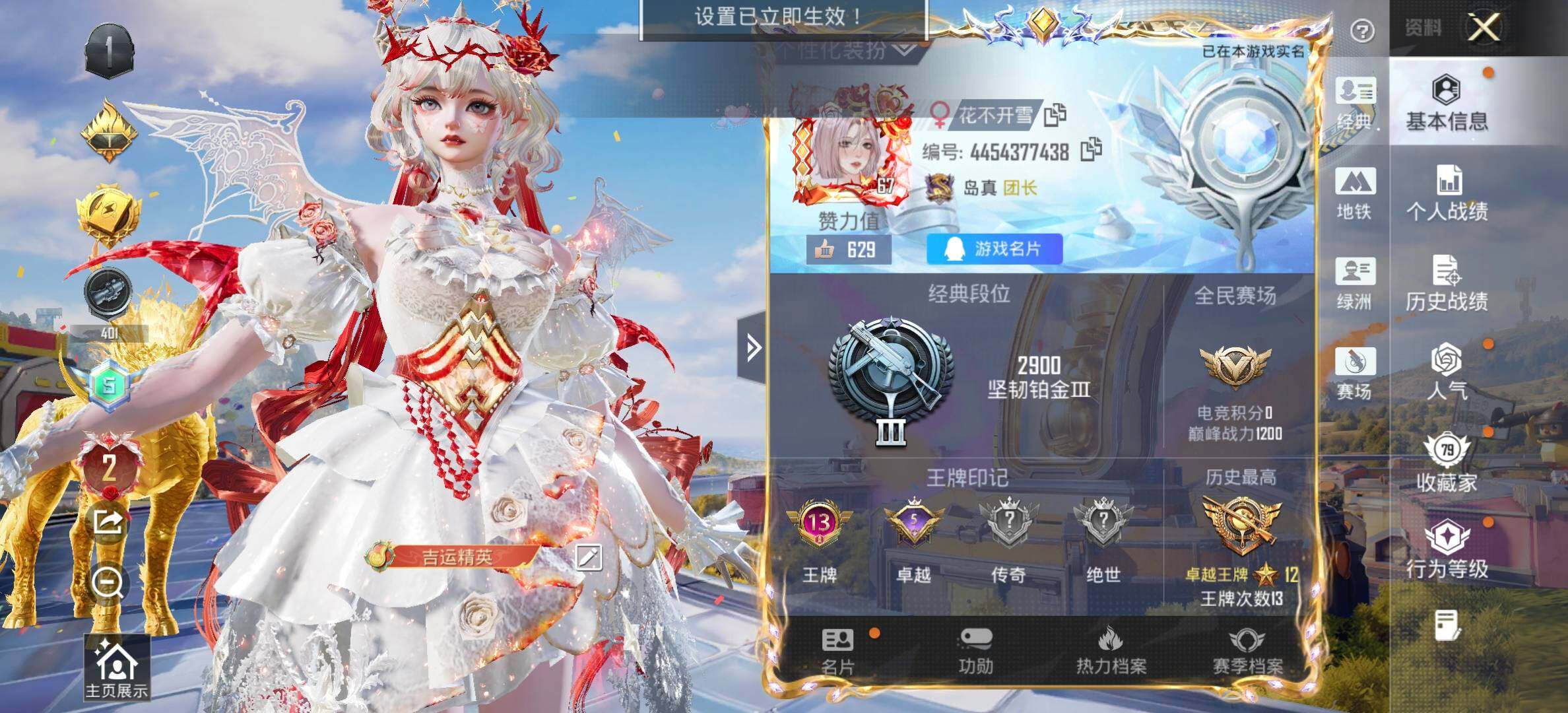 HPDN4254906和平精英账号详情图4