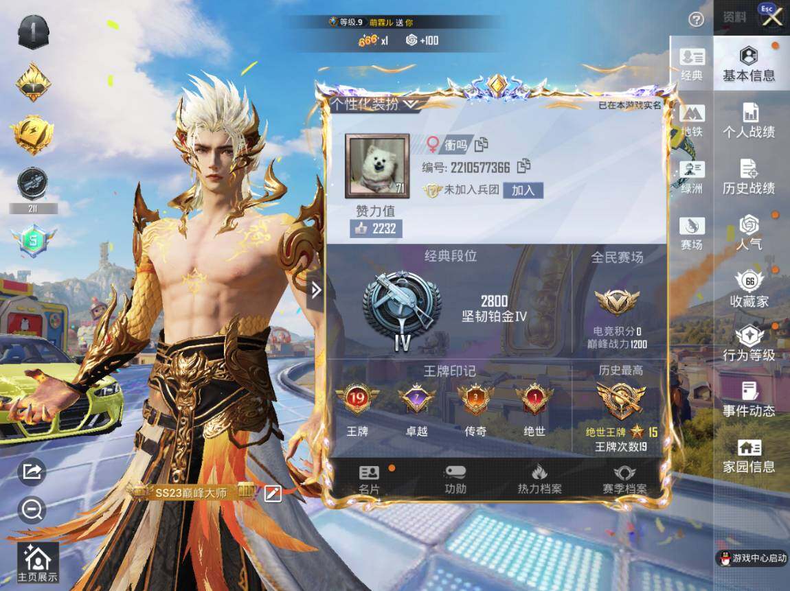 HPEY4256403和平精英账号详情图3 HPEY4256403和平精英账号详情图3