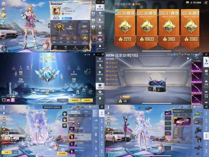 HPLX4260323和平精英账号详情图3 HPLX4260323和平精英账号详情图3