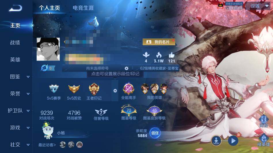 WZQM4431802王者荣耀账号详情图9 WZQM4431802王者荣耀账号详情图9