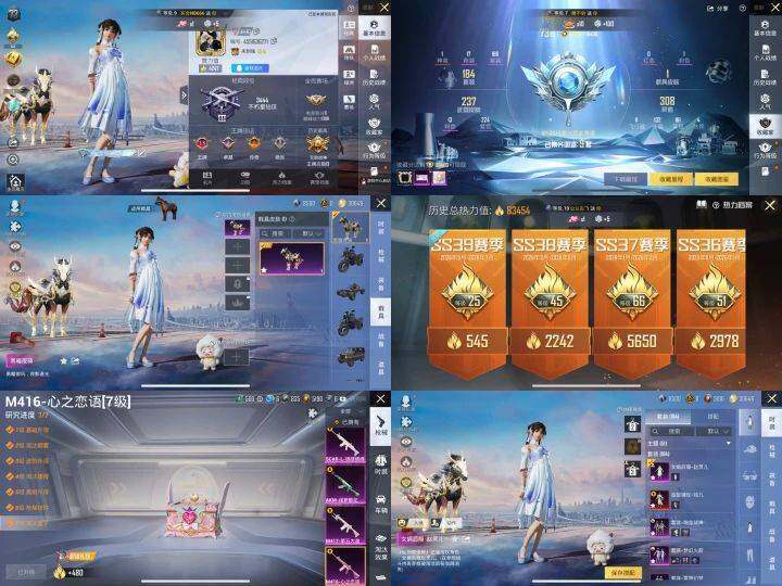 HPLX4259756和平精英账号详情图3 HPLX4259756和平精英账号详情图3
