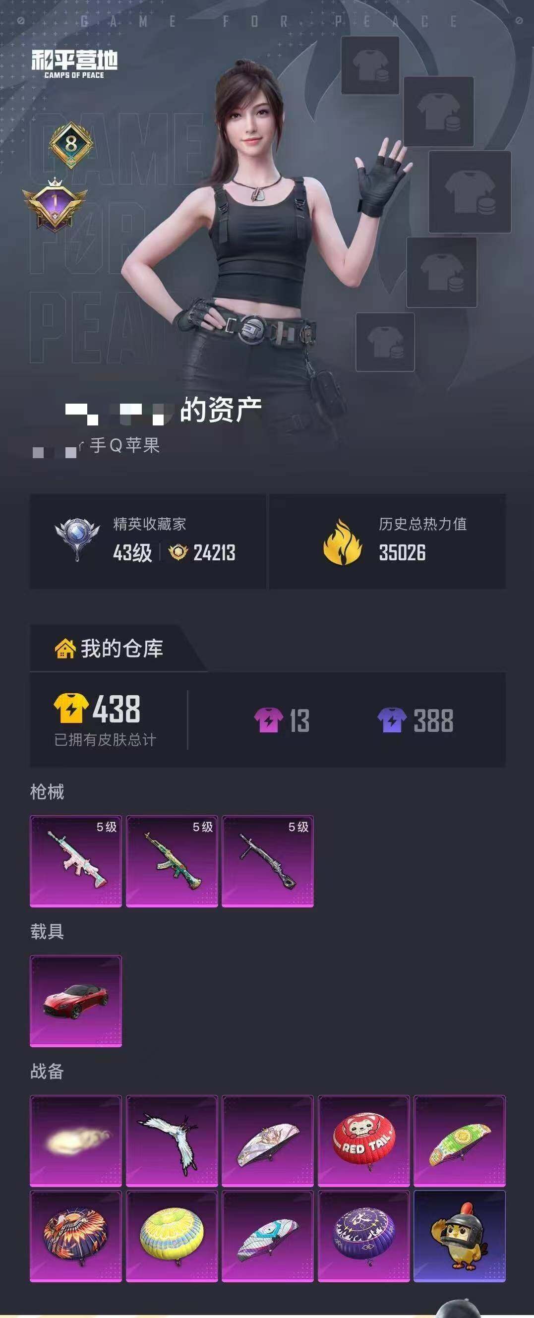 HPQM4262454和平精英账号详情图4