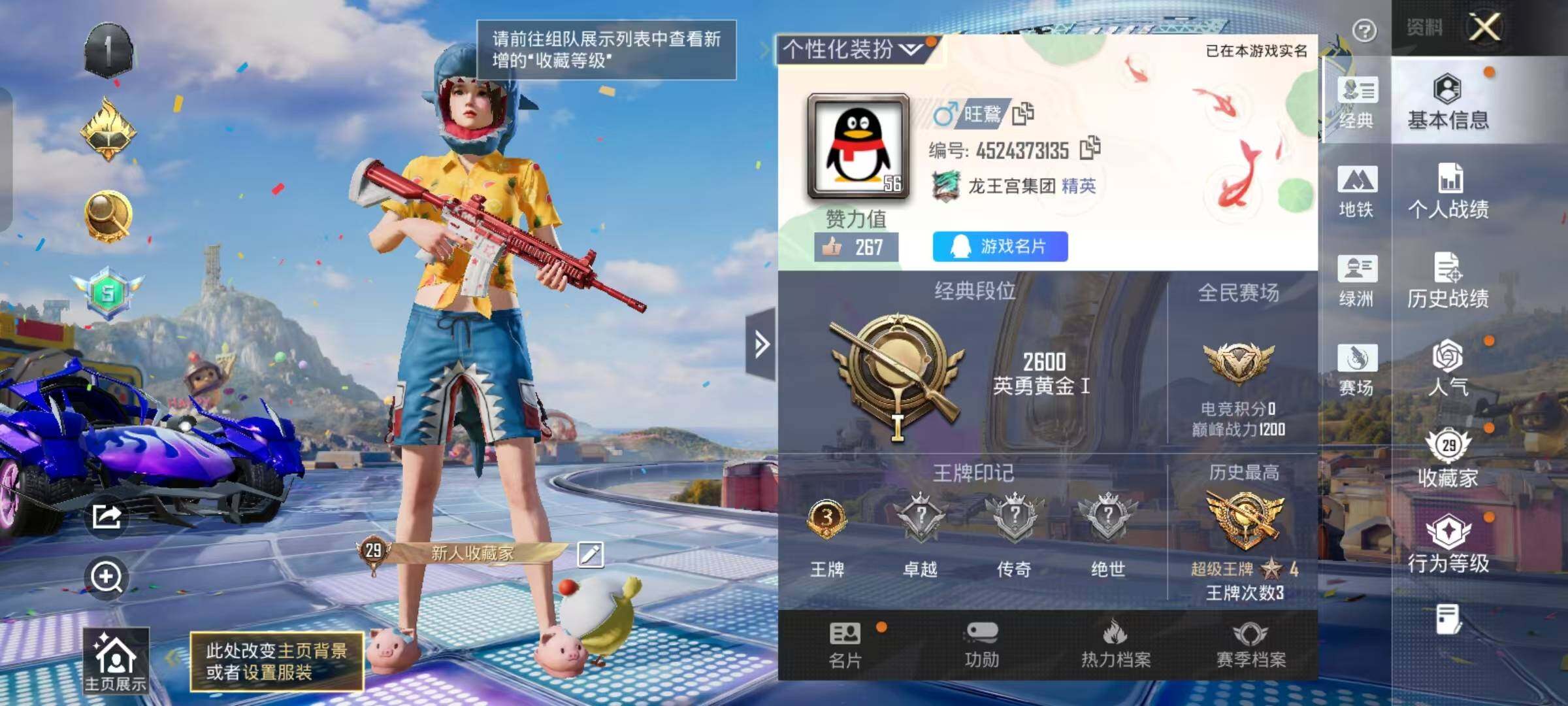 大图