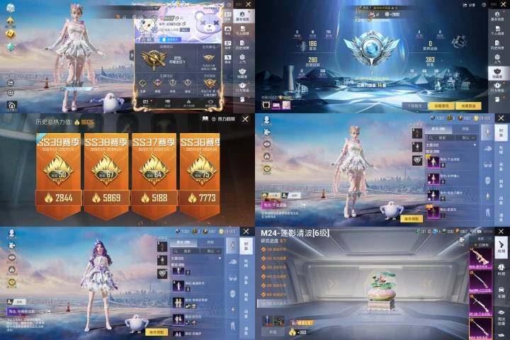 HPLX4259787和平精英账号详情图2