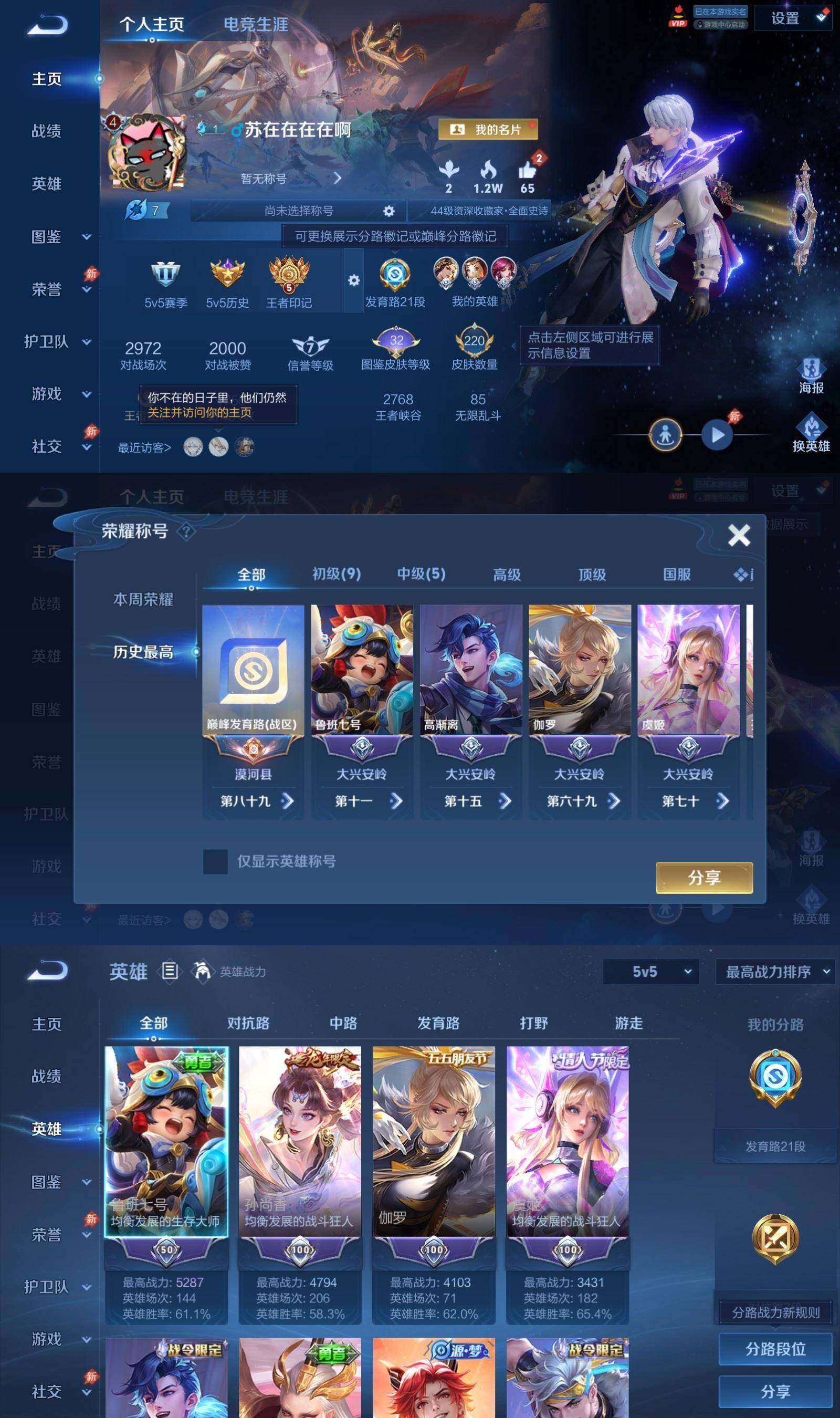 WZPX4436305王者荣耀账号详情图2