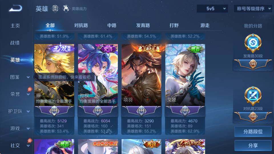 WZQM4455411王者荣耀账号详情图11