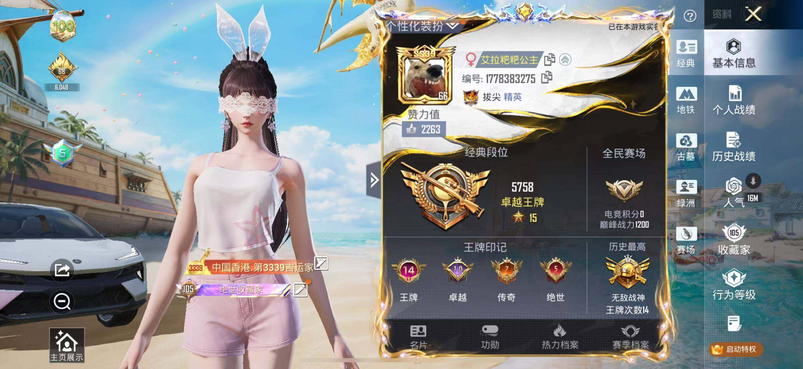 大图