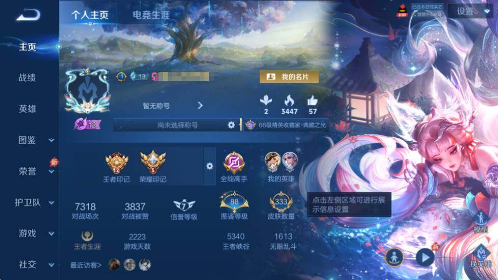 WZQM4456667王者荣耀账号详情图8 WZQM4456667王者荣耀账号详情图8