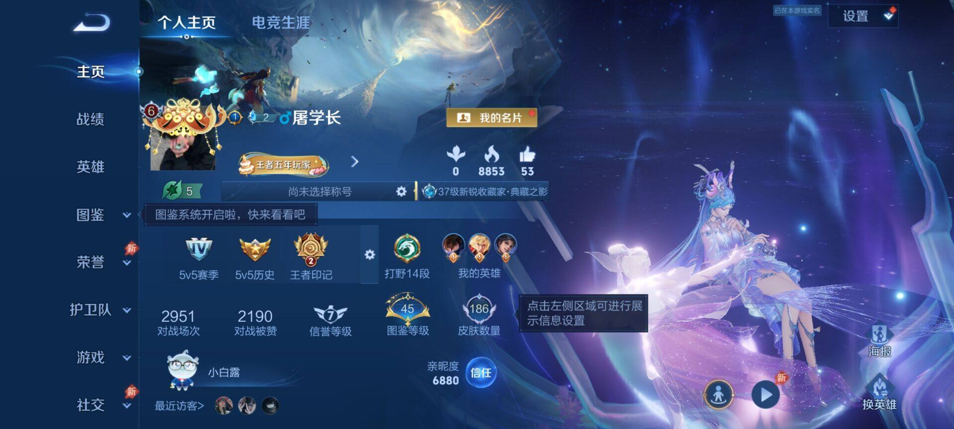 WZQM4452125王者荣耀账号详情图3