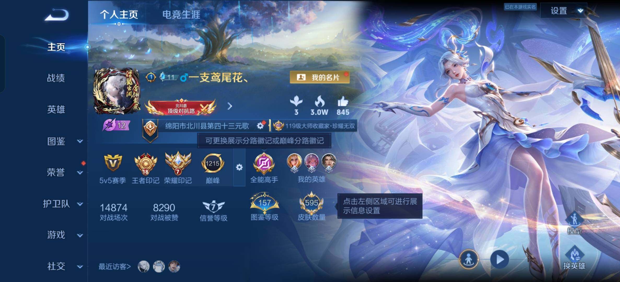WZLX4491310王者荣耀账号详情图4 WZLX4491310王者荣耀账号详情图4