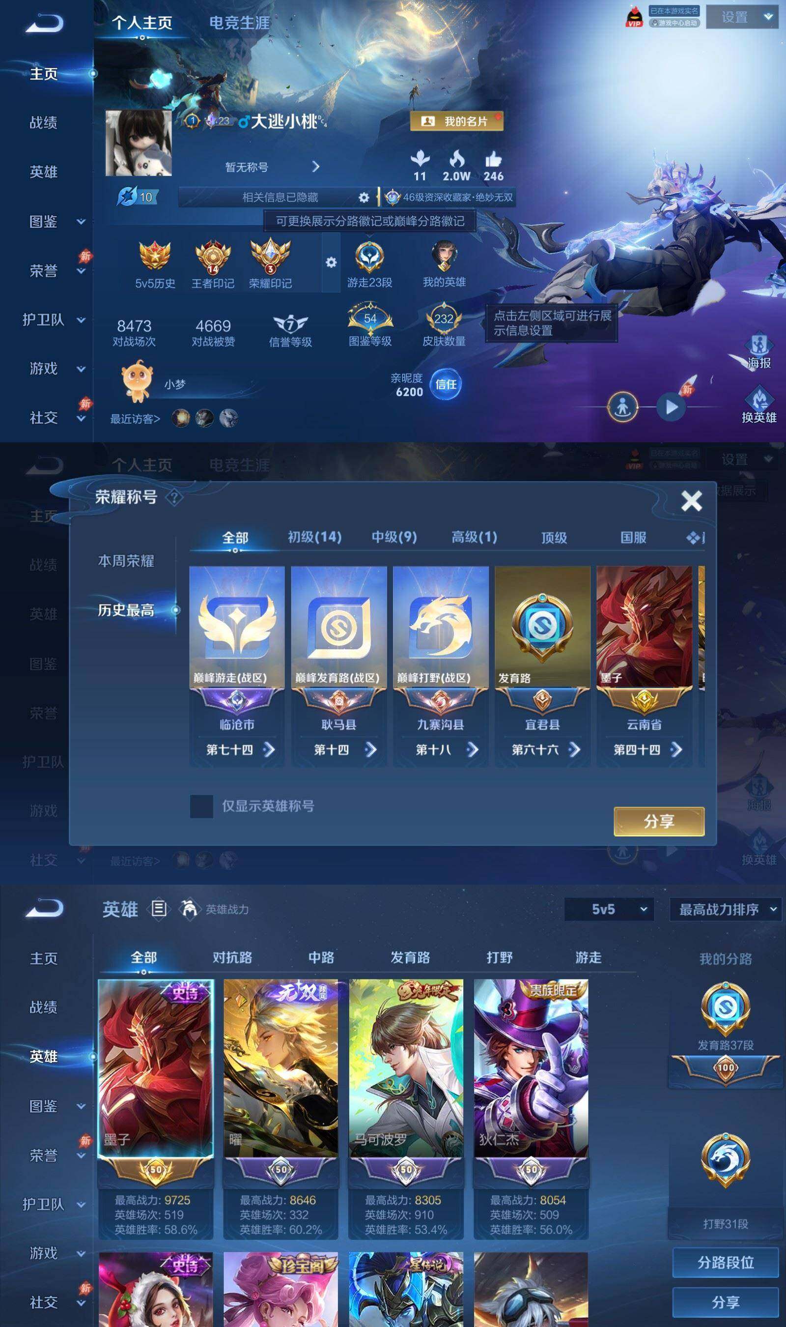 WZQM4460480王者荣耀账号详情图3 WZQM4460480王者荣耀账号详情图3