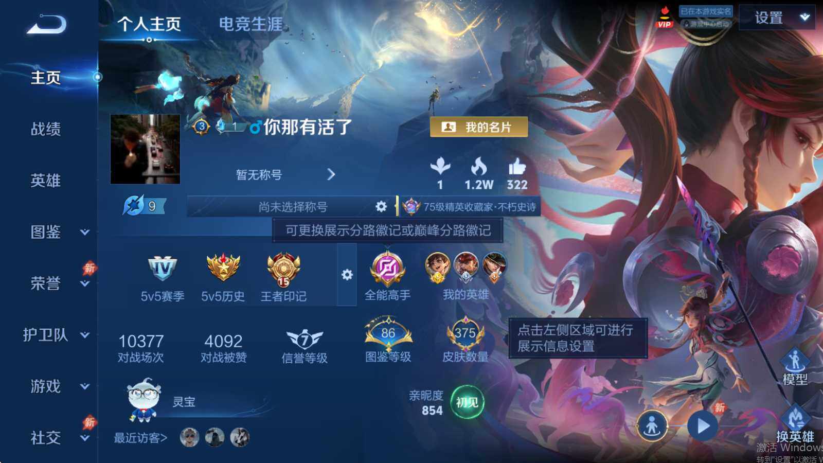 WZQM4464108王者荣耀账号详情图3