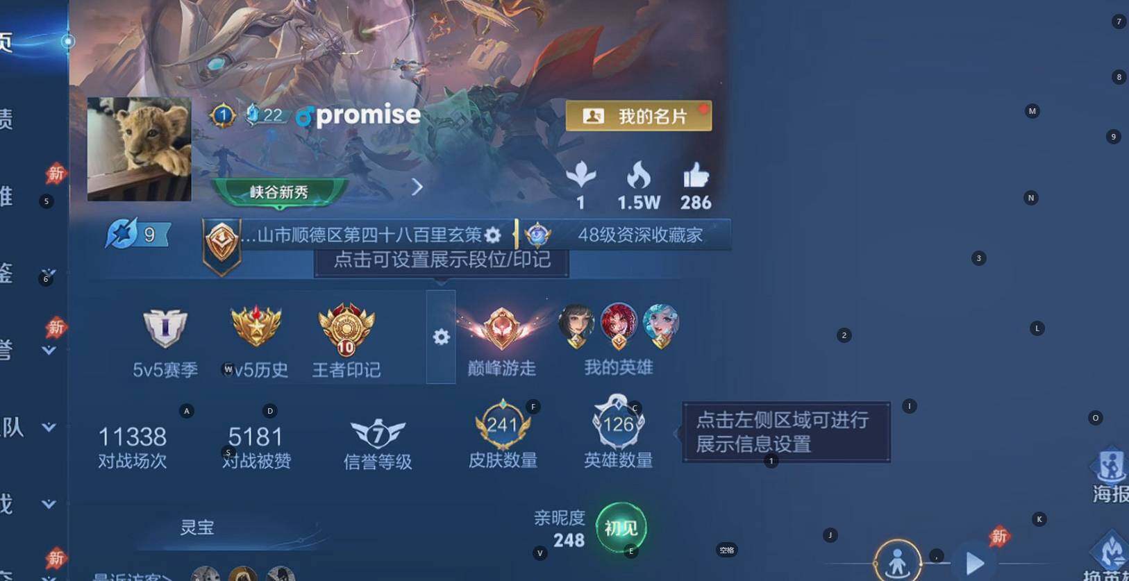 WZQM4482123王者荣耀账号详情图8