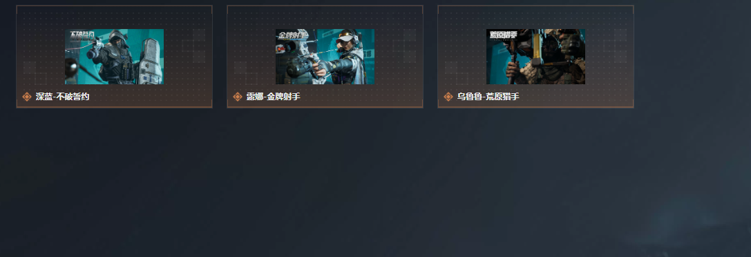 SJZQM4197912三角洲行动账号详情图11