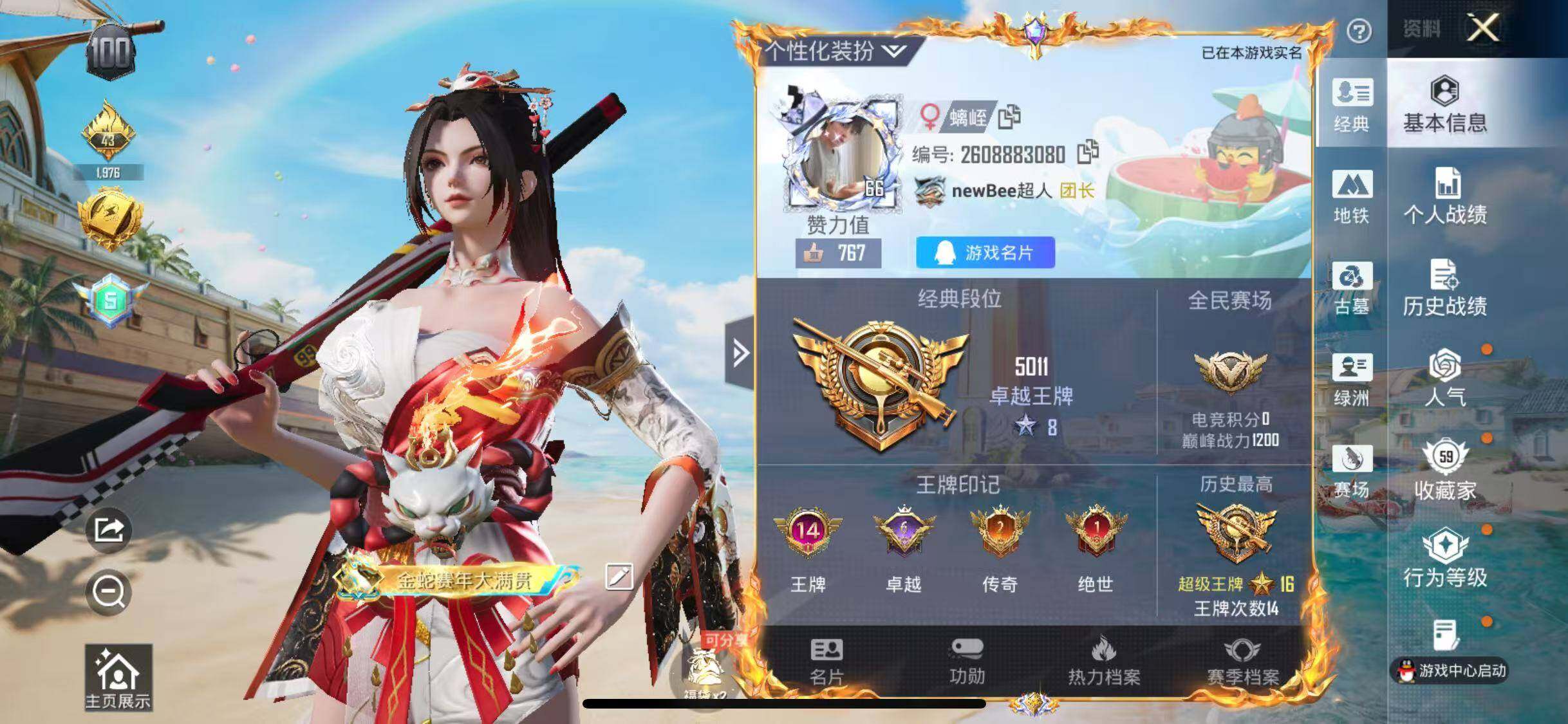 大图