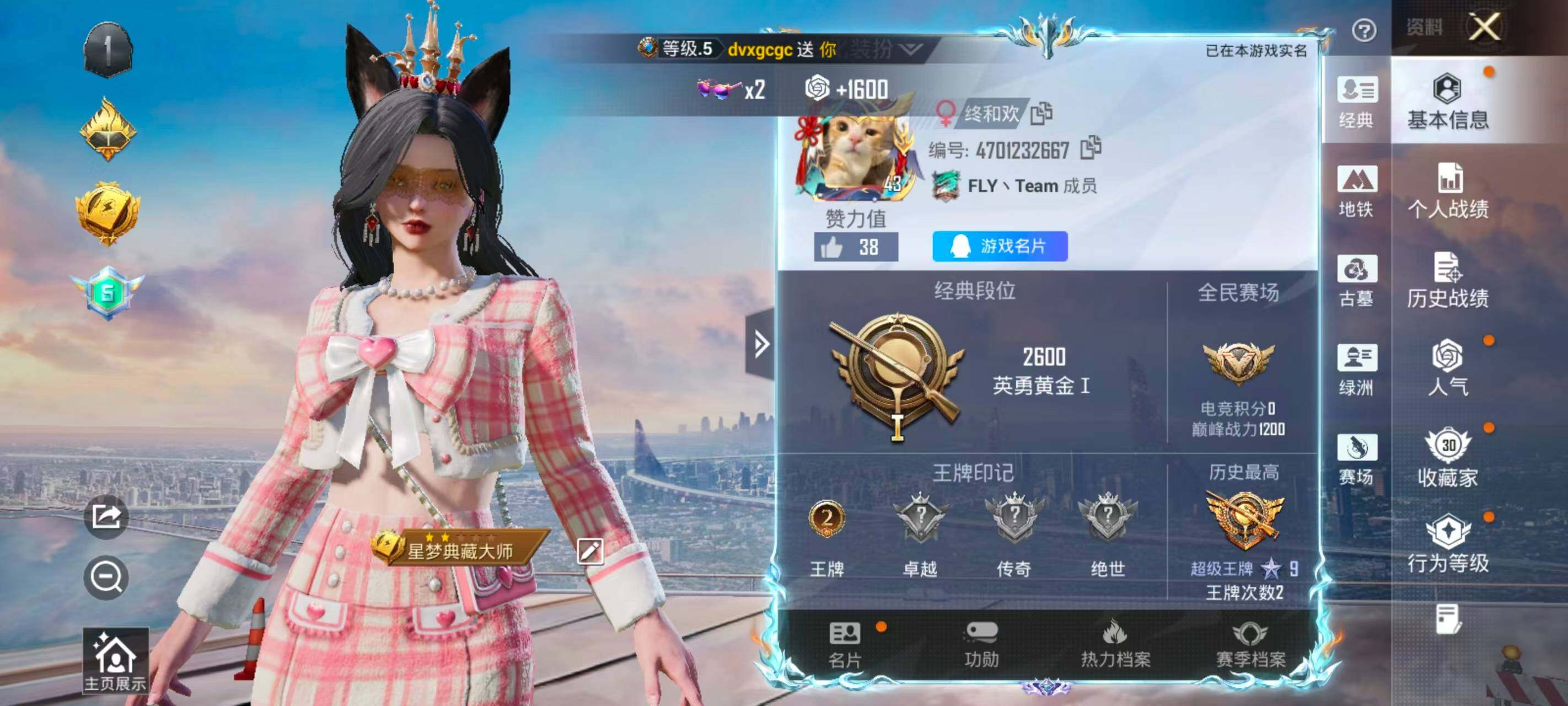 HPEY4285202和平精英账号详情图2