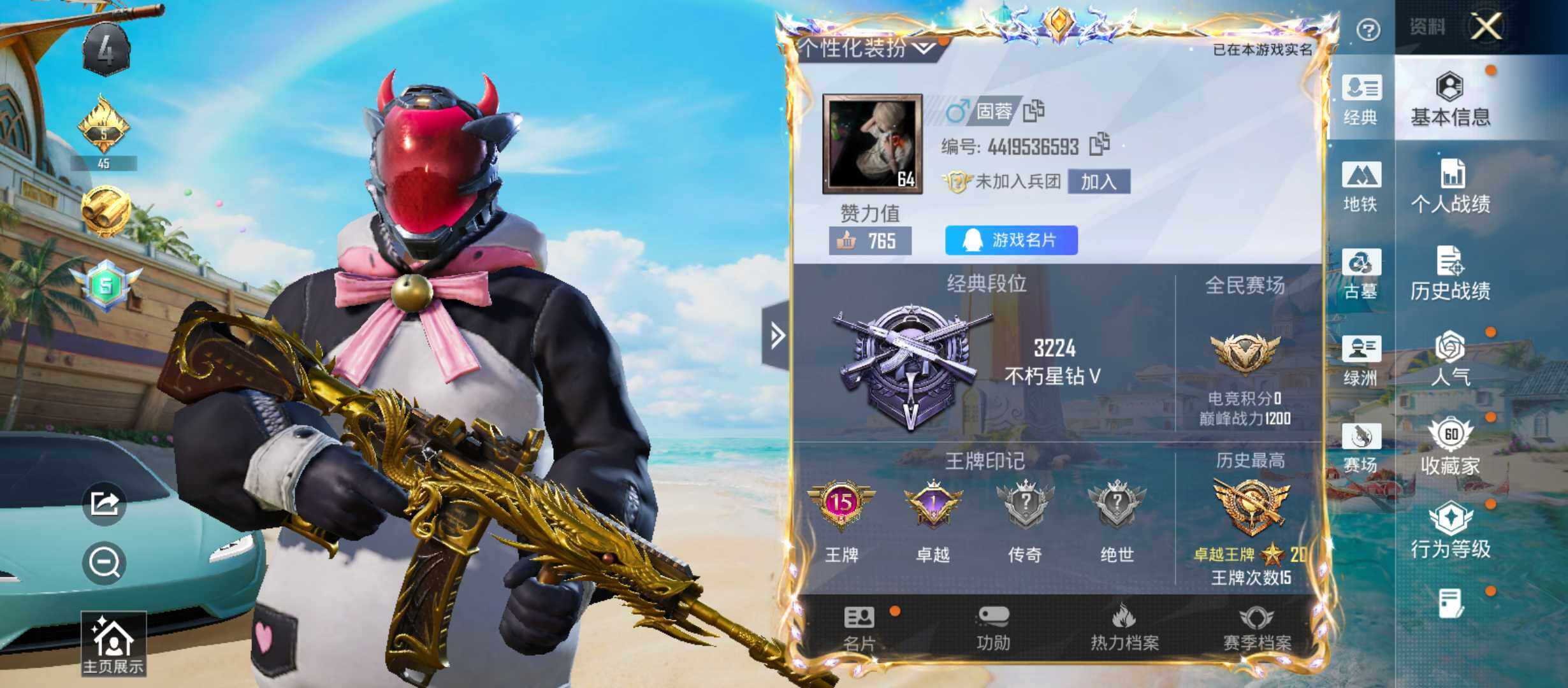 大图