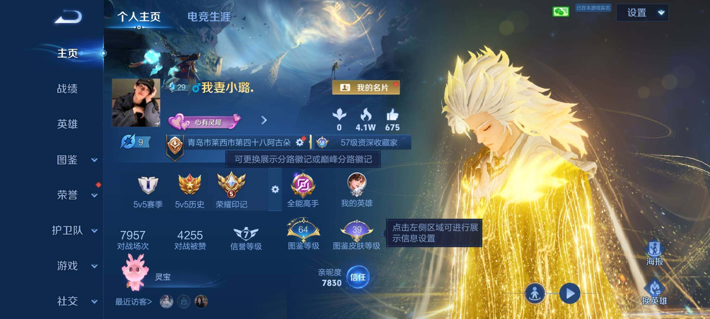 WZQM4491432王者荣耀账号详情图3