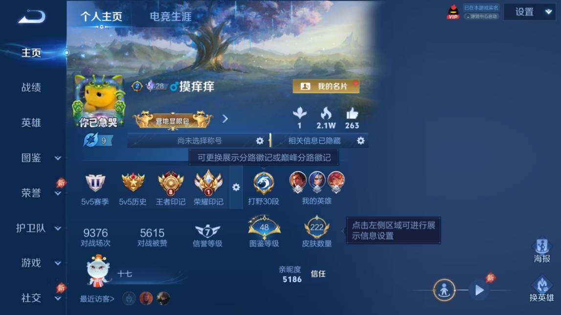 WZQM4488549王者荣耀账号详情图3