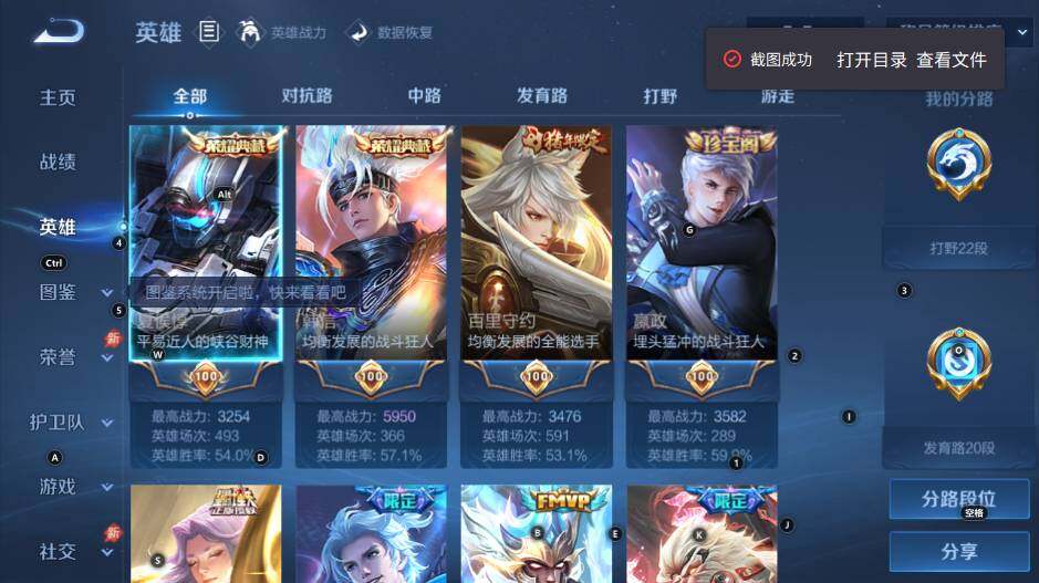 大图