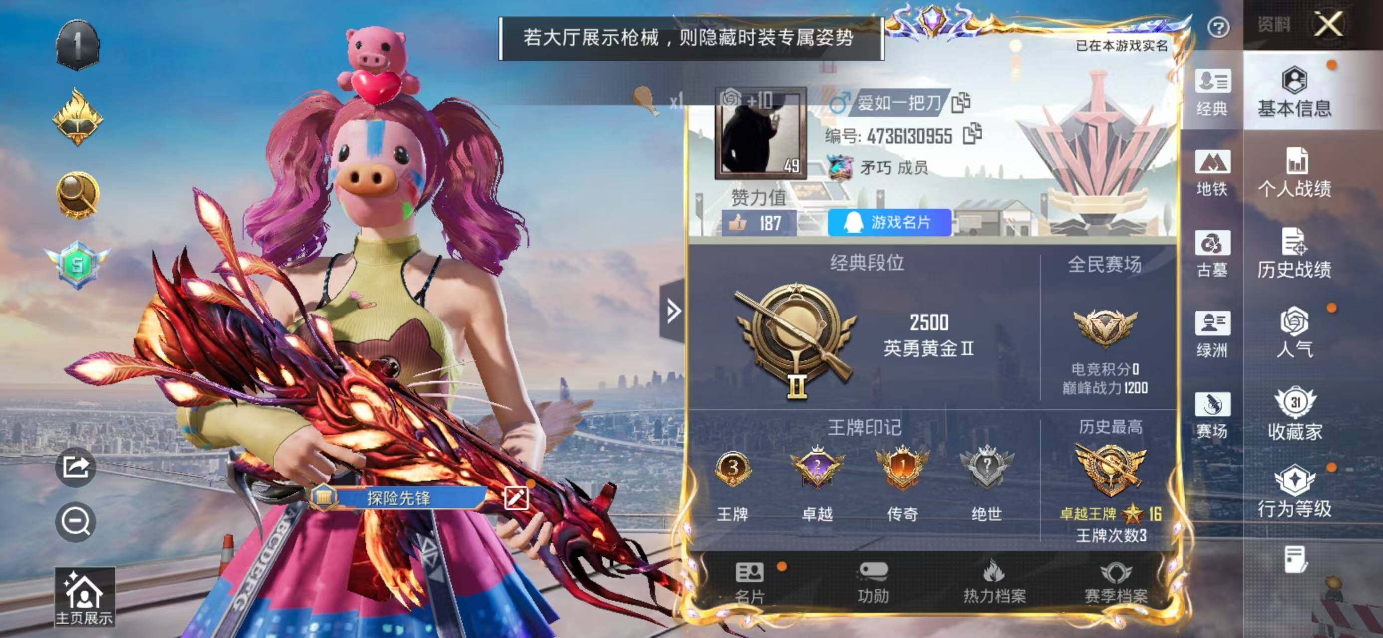 大图