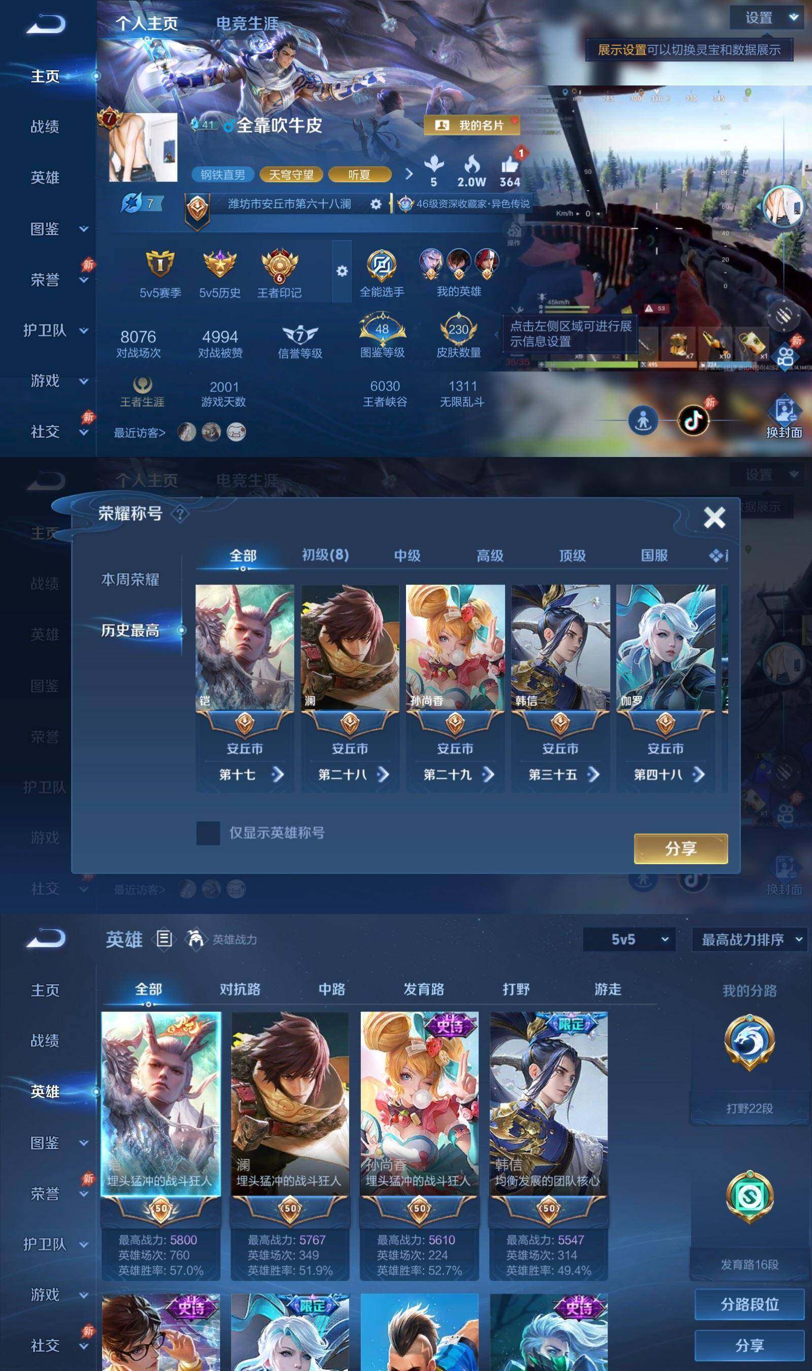 大图