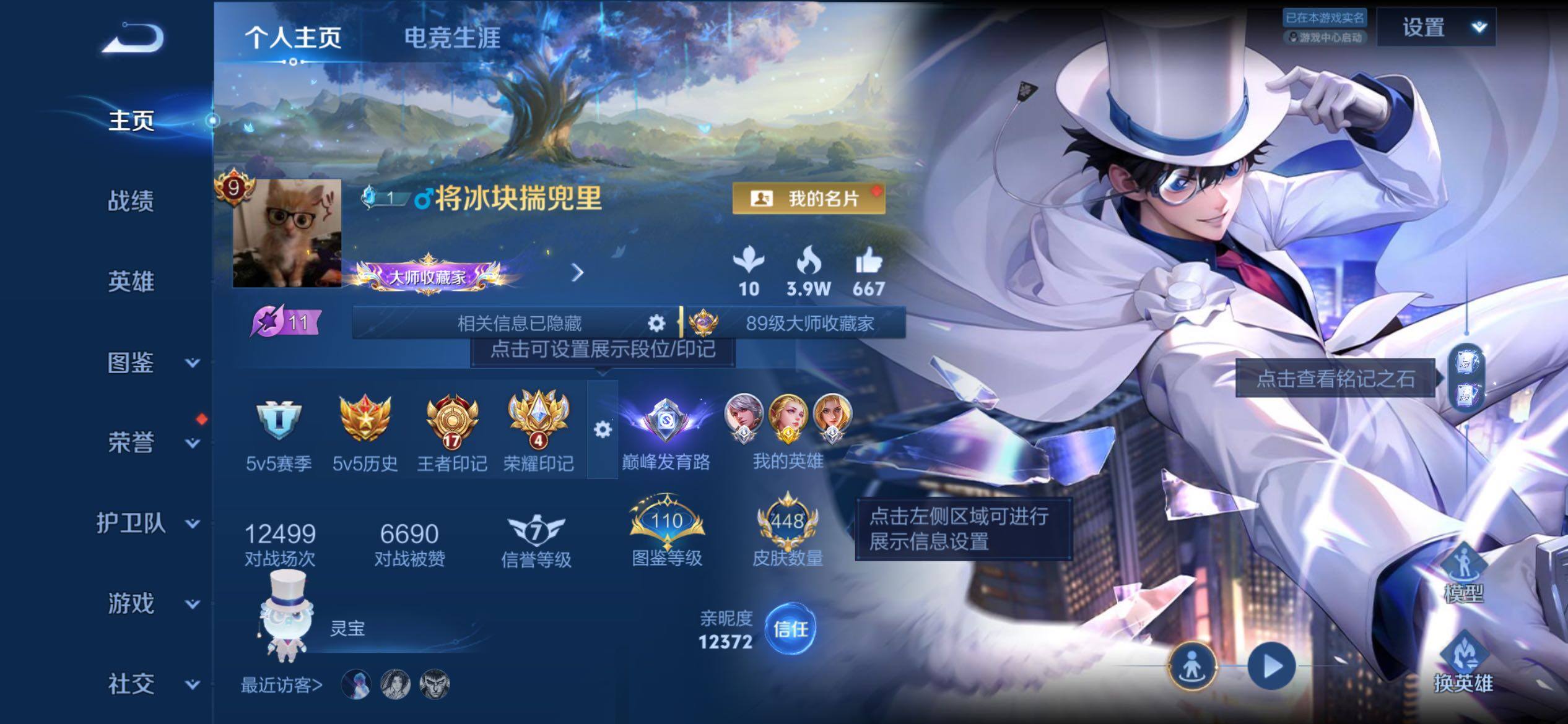 王者荣耀账号苹果QQ可二次实名 巅峰发育路 射手号 百星印记 17王者印记 4荣耀印记 金标艾琳 1星典藏 3星传说 3