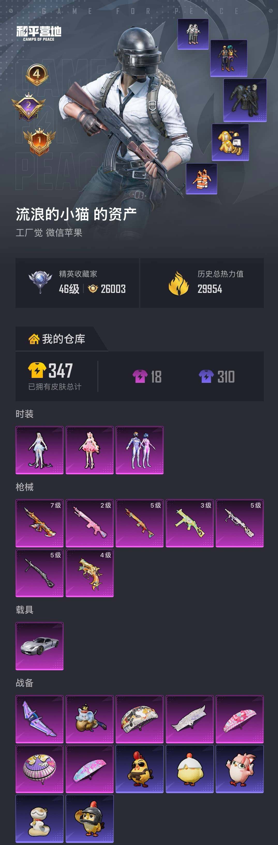 HPQM4294339和平精英账号详情图5 HPQM4294339和平精英账号详情图5