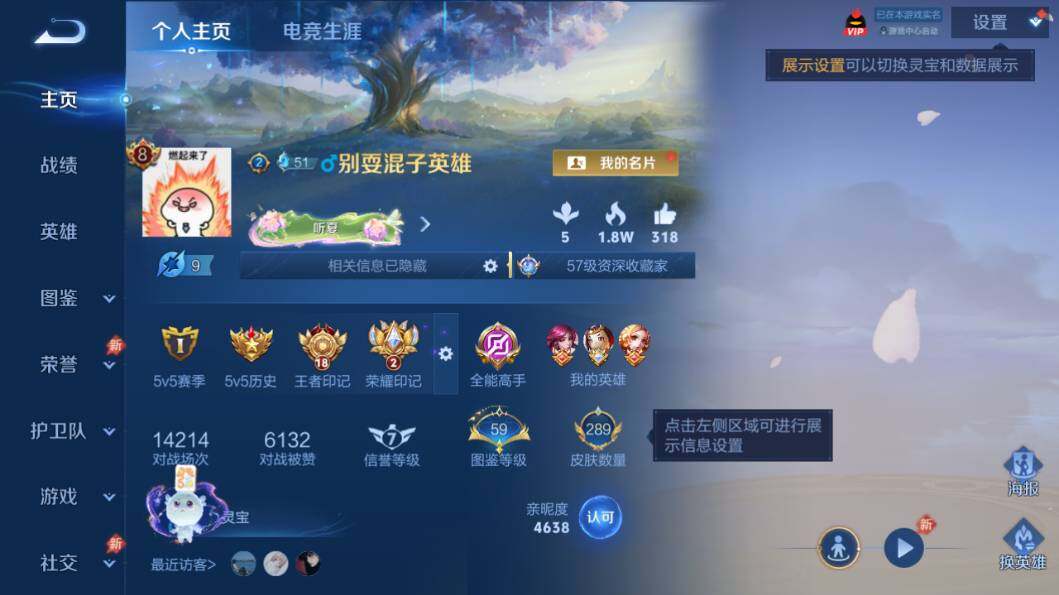 WZQM4515010王者荣耀账号详情图3