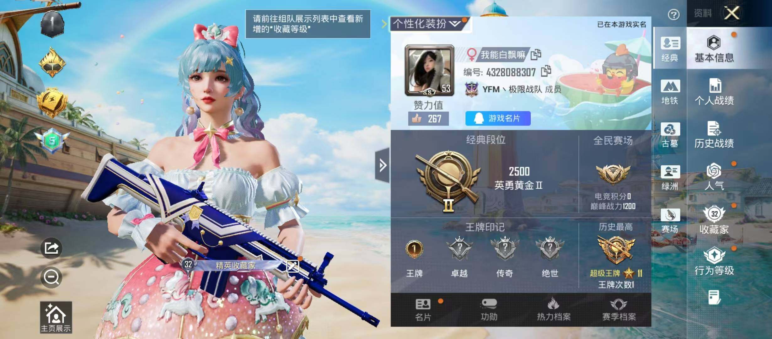 HPQM4299419和平精英账号详情图5