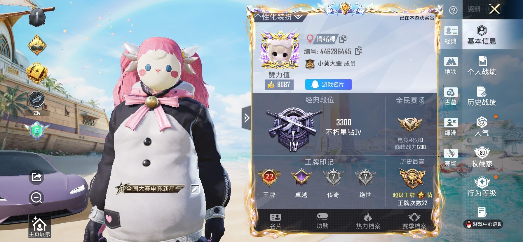 大图