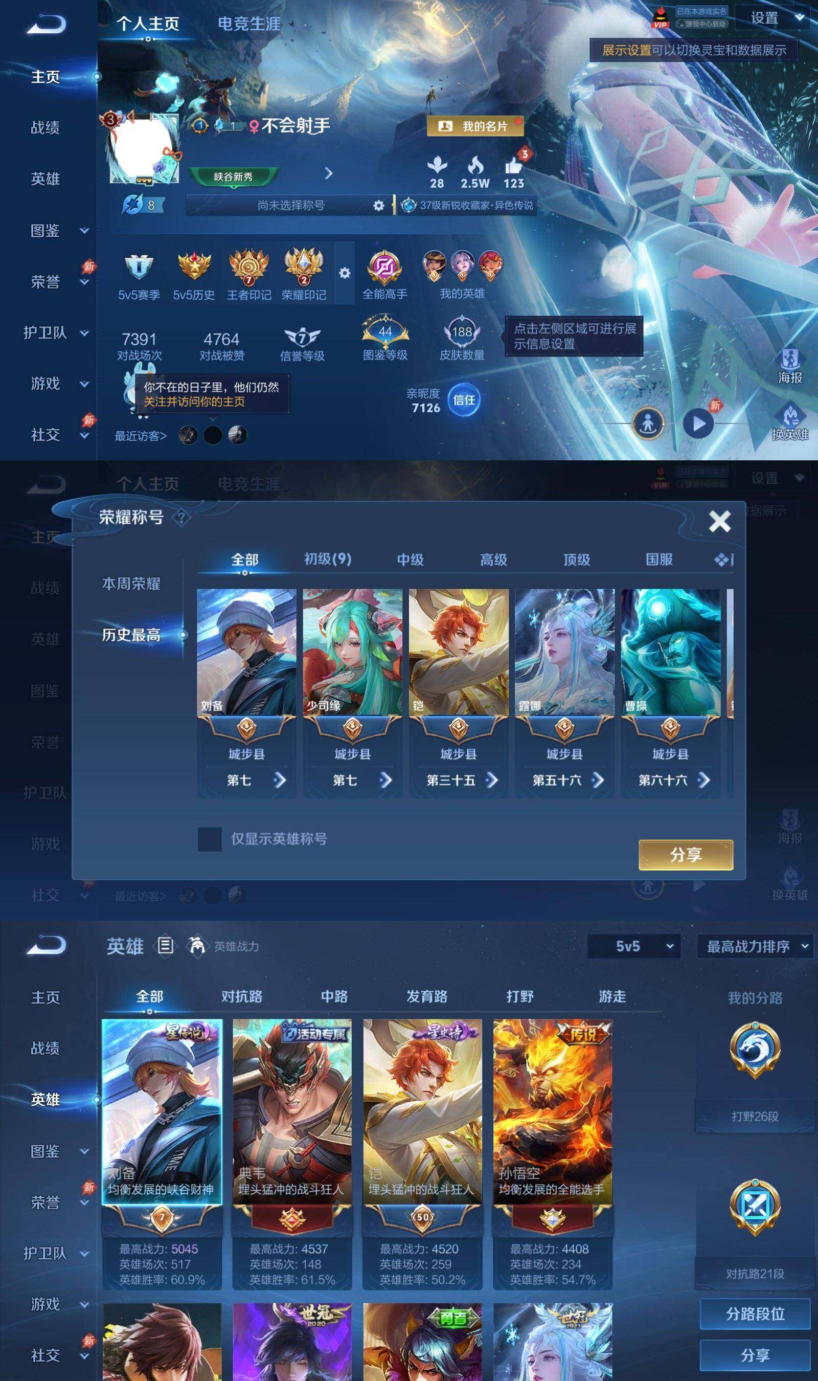 WZPX4522346王者荣耀账号详情图2