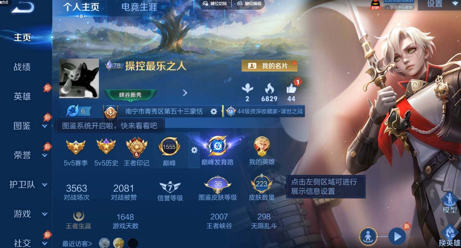 WZQM4528988王者荣耀账号详情图3 WZQM4528988王者荣耀账号详情图3